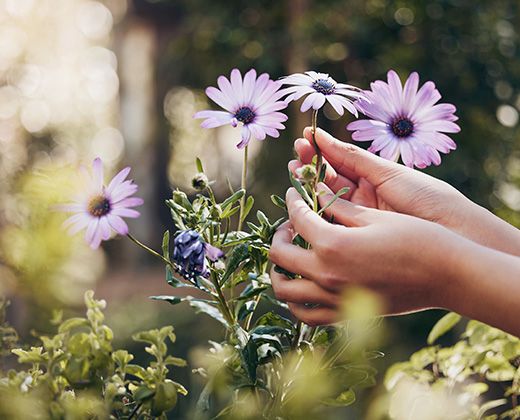 Das Gleichgewicht der Vaginalflora kann von uns beeinflusst werden.